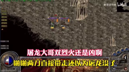 盛大传奇银蛇属性