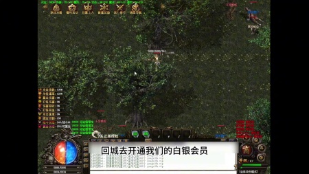 1.85王者私服传奇